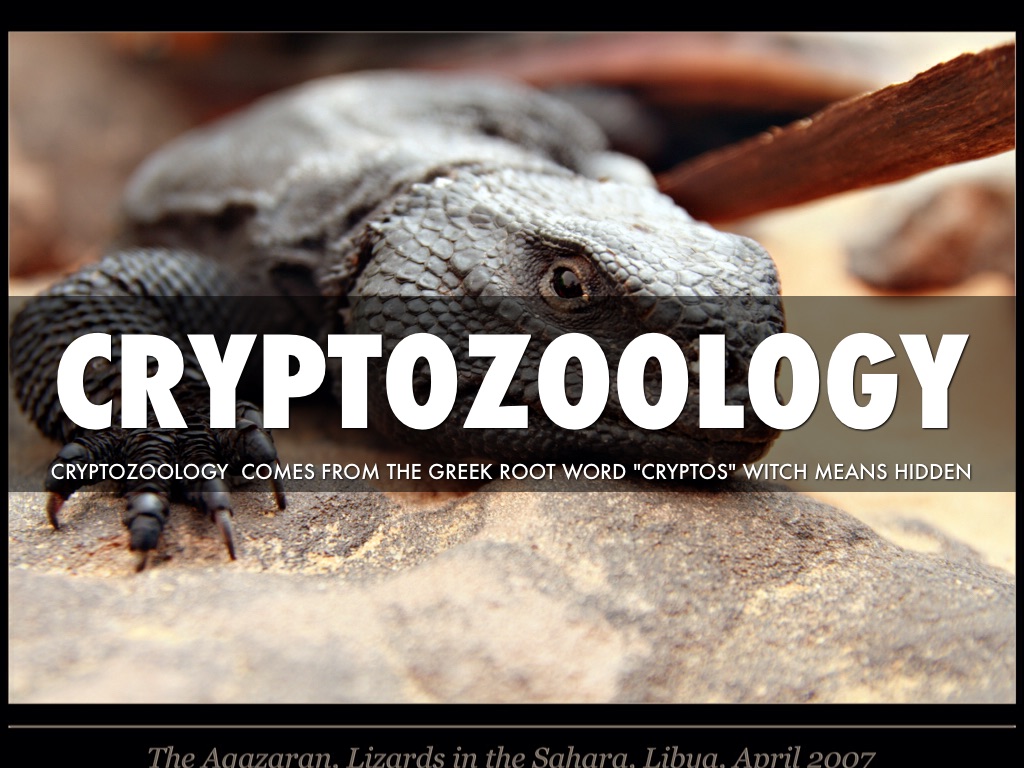 Cryptozoology by Jonathan Keller