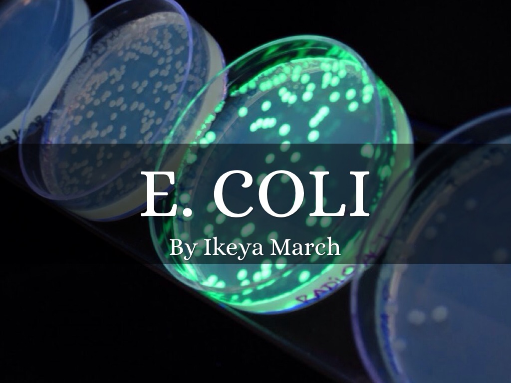 Ecoli