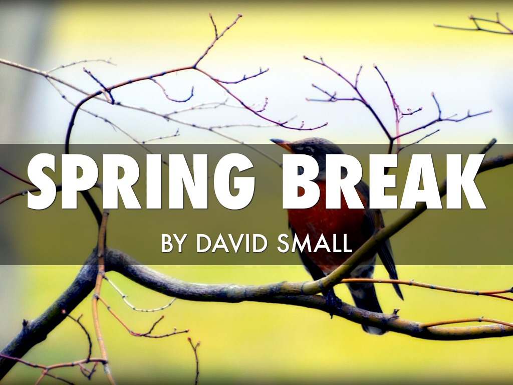 Spring Break