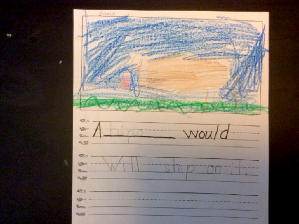 Animals Should Definitely Not Borrow Library Books! By Ms. Cassetta's Class