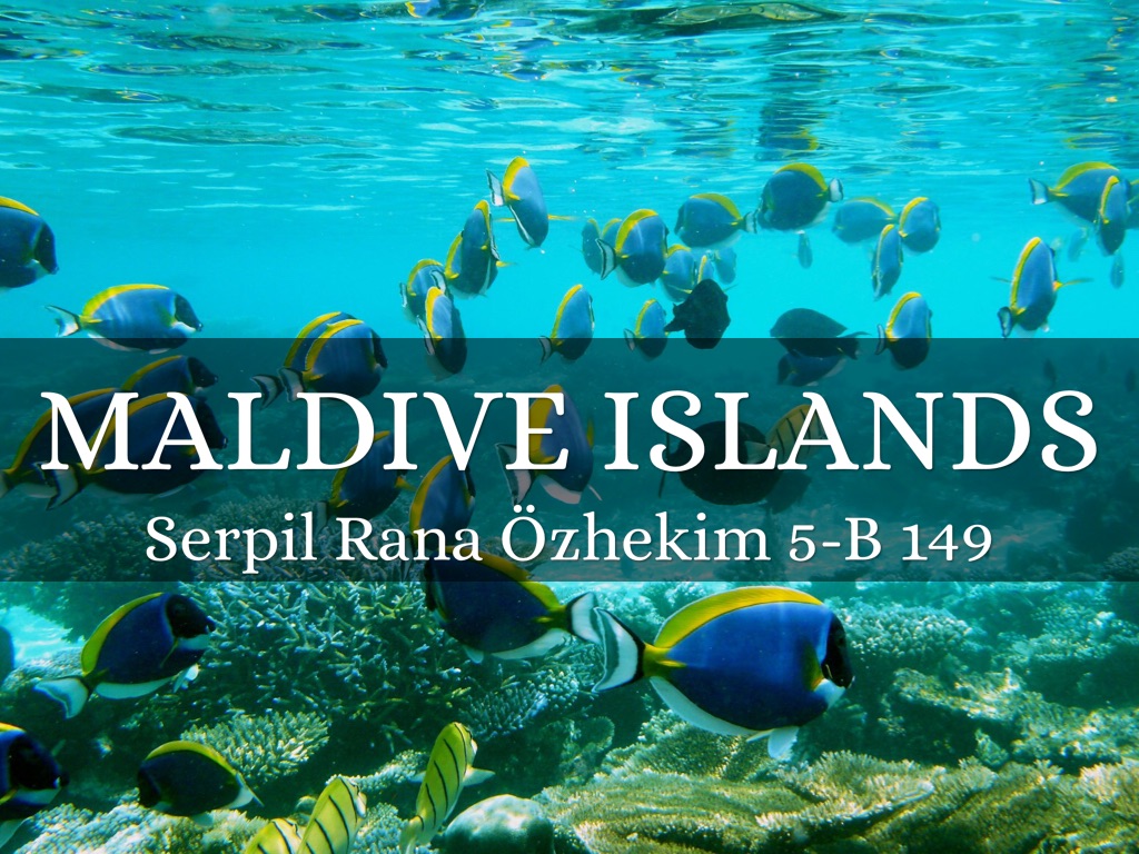 Maldive Islands