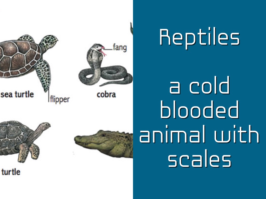 Science Vocabulary 2nd Grade by dale0925