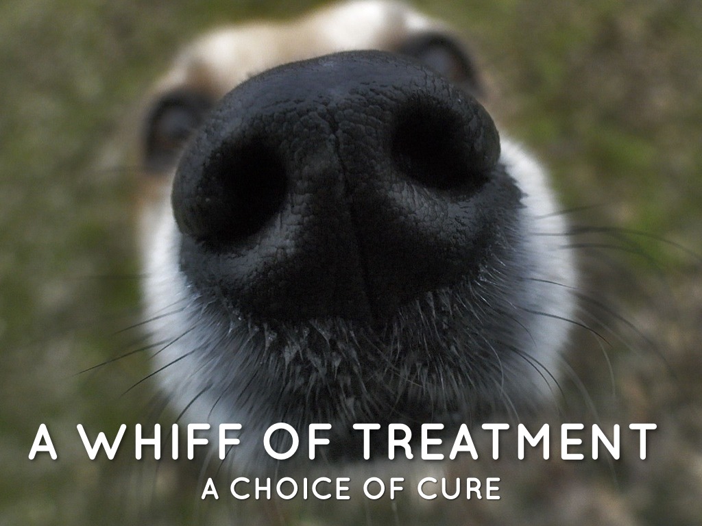 Copy of A Whiff Of Treatment