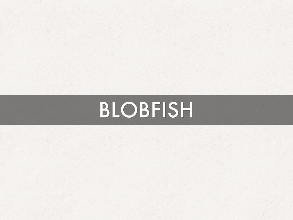 BLOBFISH by 3005223