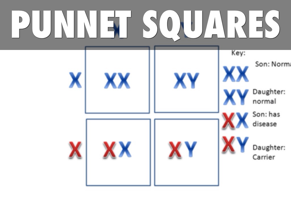 Science by Brandon Martinez