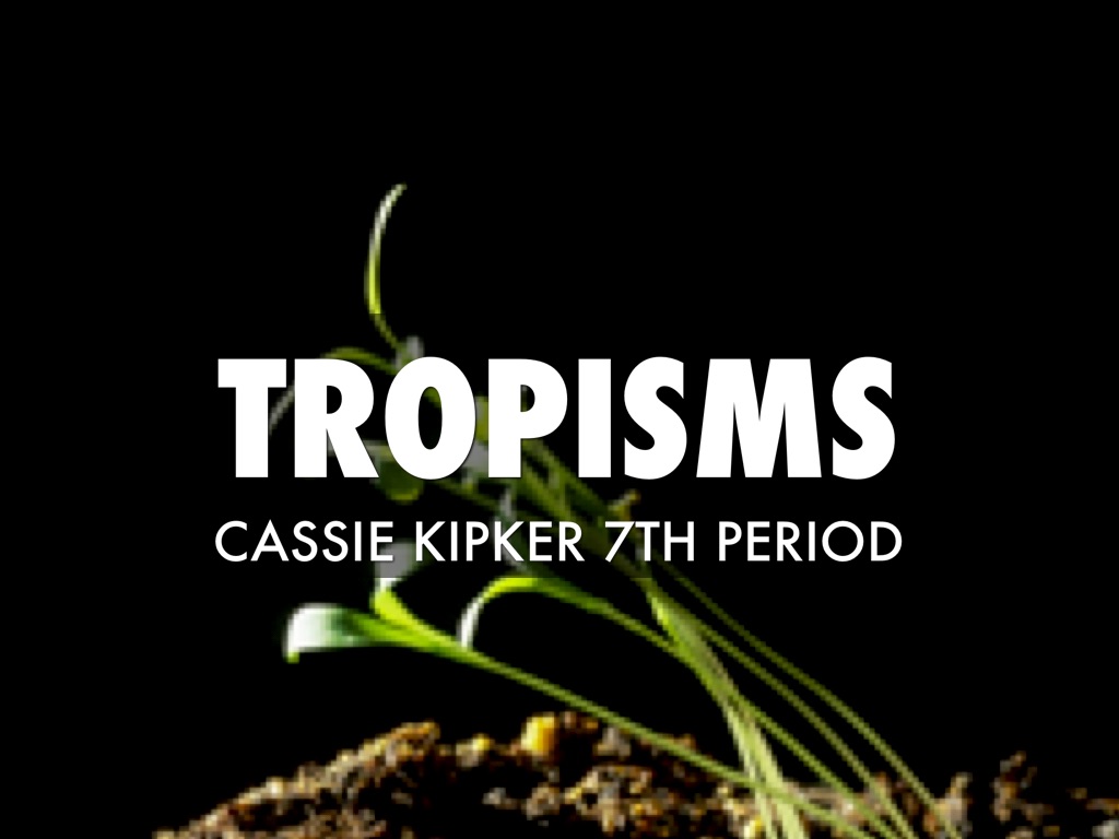 Tropisms