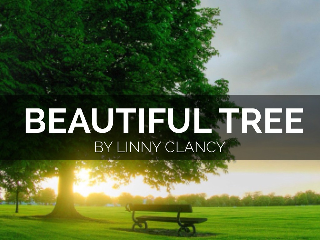 Beautiful Tree