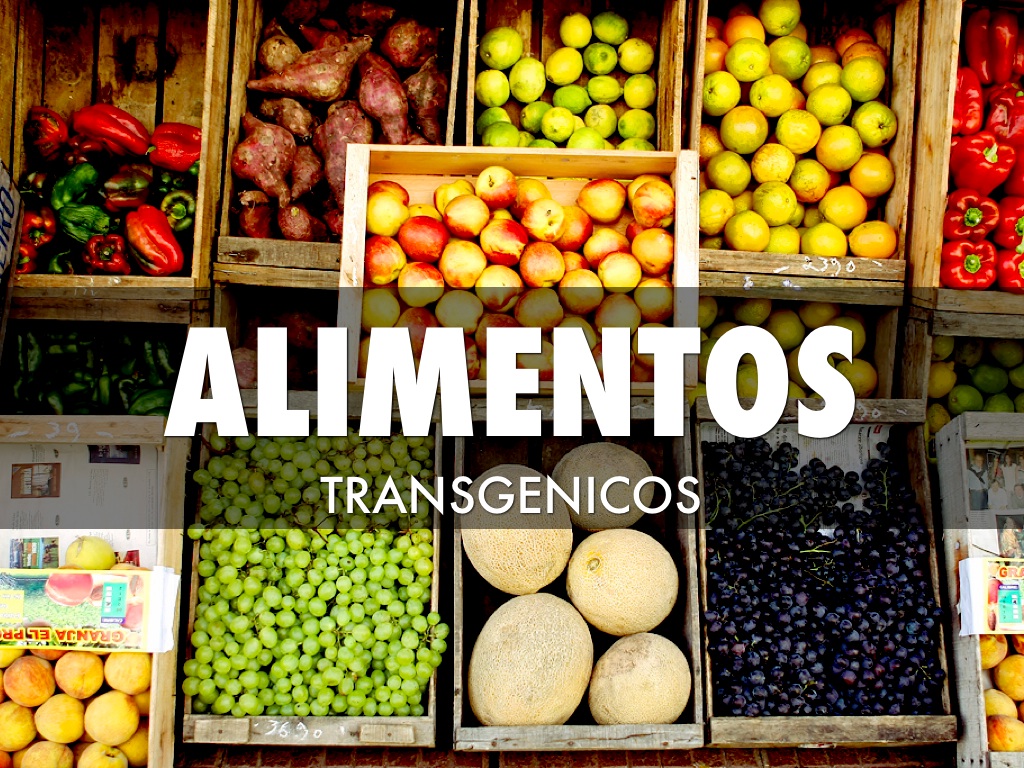 ALIMENTOS TRANSGENICOS