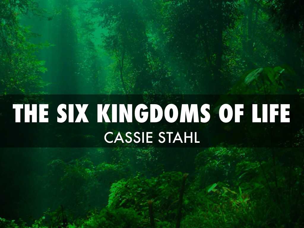 The Six Kingdoms Of Life 
