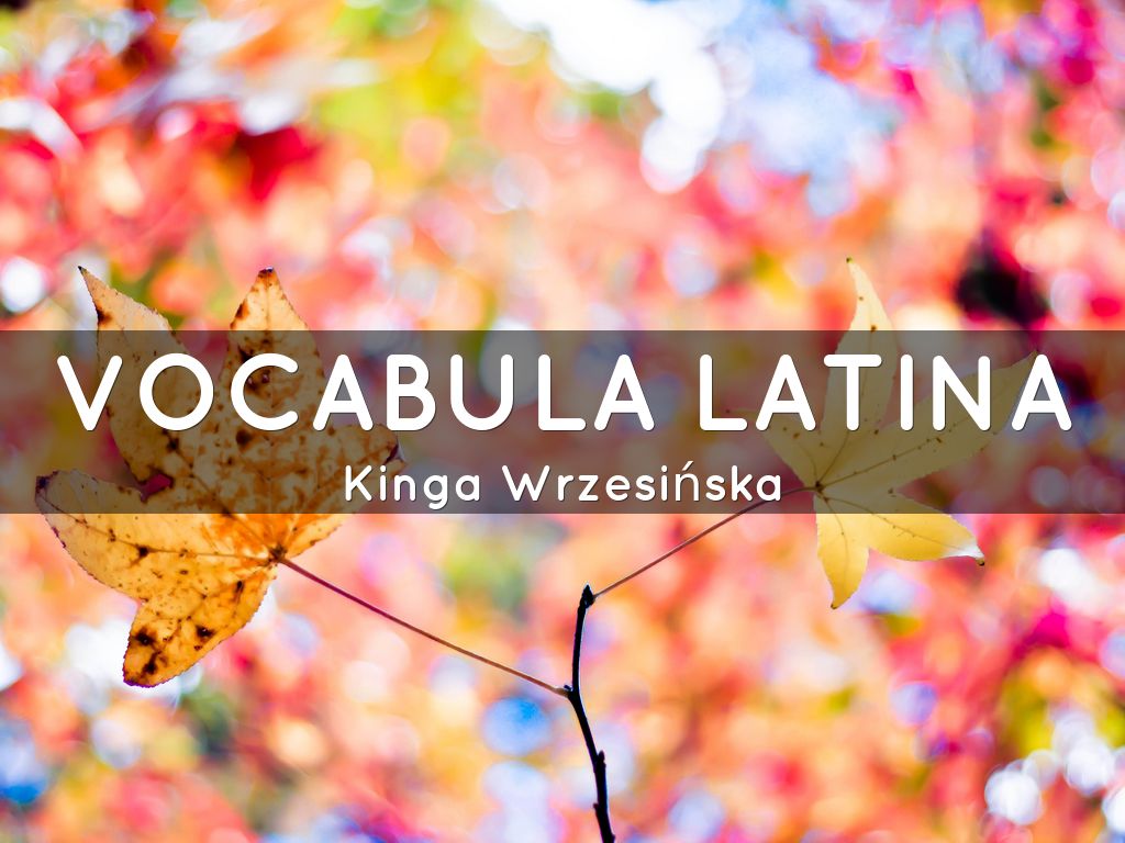 VOCABULA LATINA