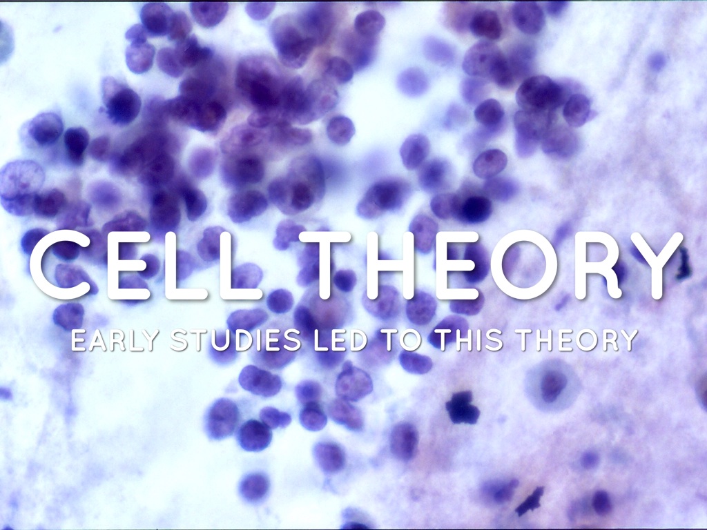 Cell Theory