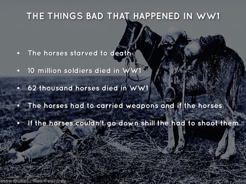 WW1 by Isabelle Fulks