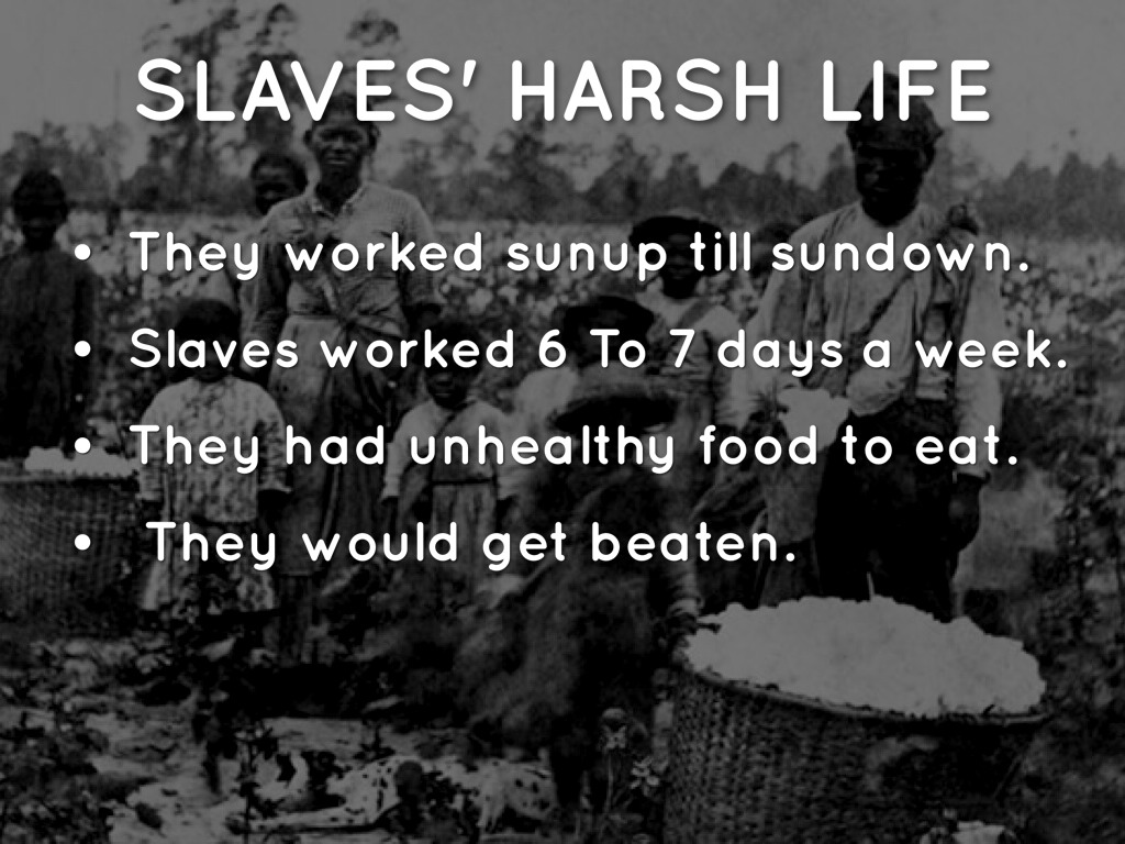 harshness of life essay harshness of life essay