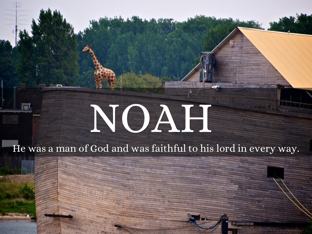 Noah 🌊🌊🌊🚣🌊🌊🌊