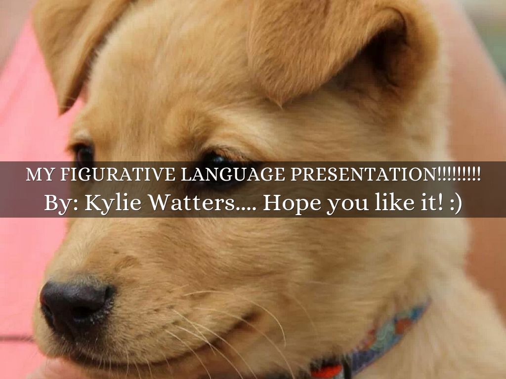 My FIGURATIVE language Presentation!!!!!!!!!