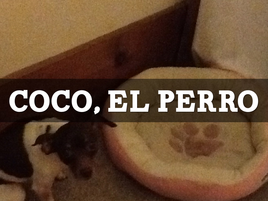 Coco, El Perro