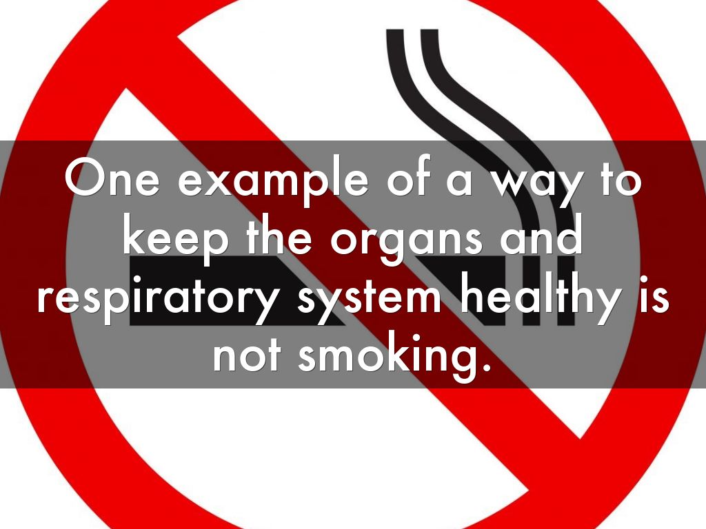 How To Keep Your Respiratory System Healthy