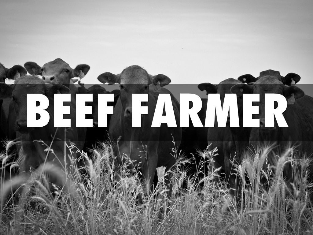 Beef Farmer 