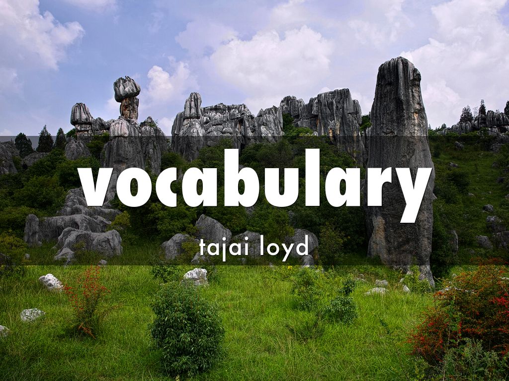 vocabulary