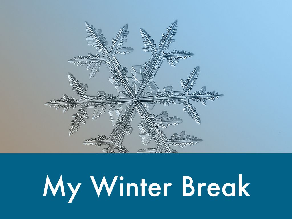 My Winter Break