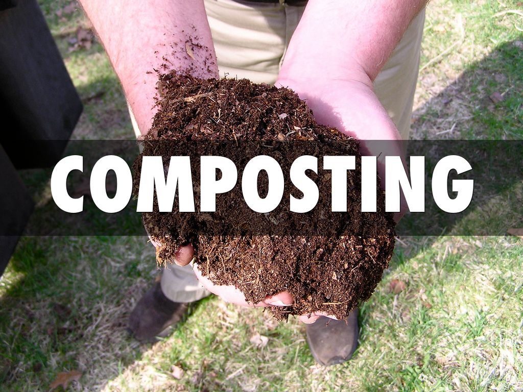 Compost