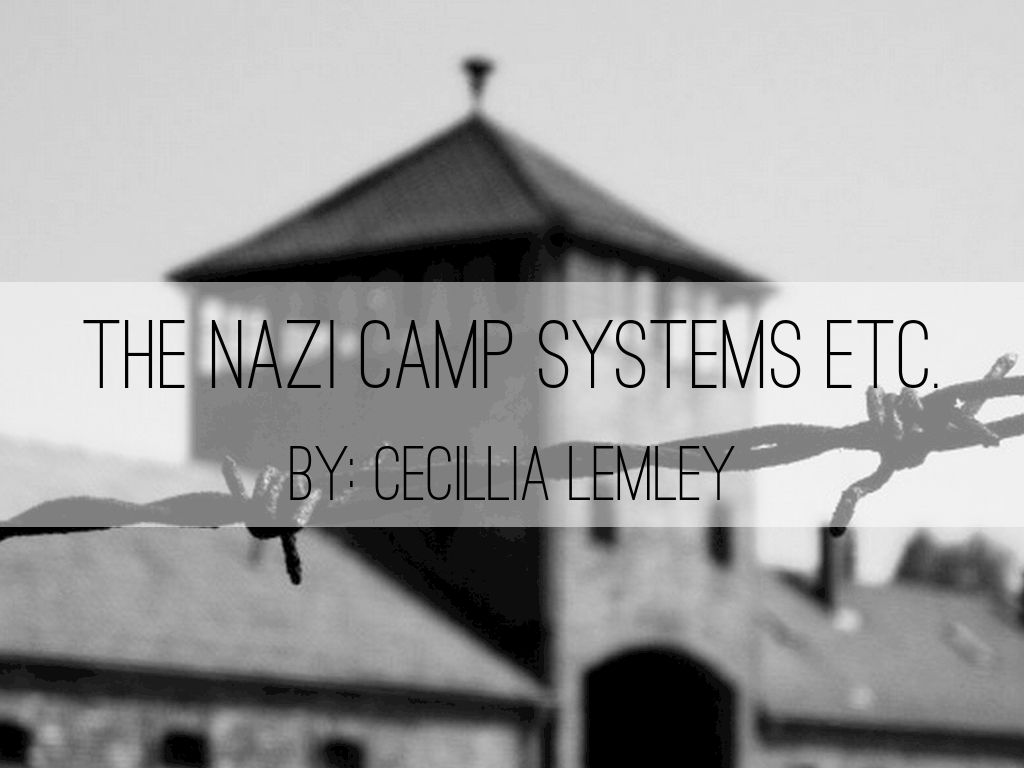 nazi camp sysem by cecillia lemley