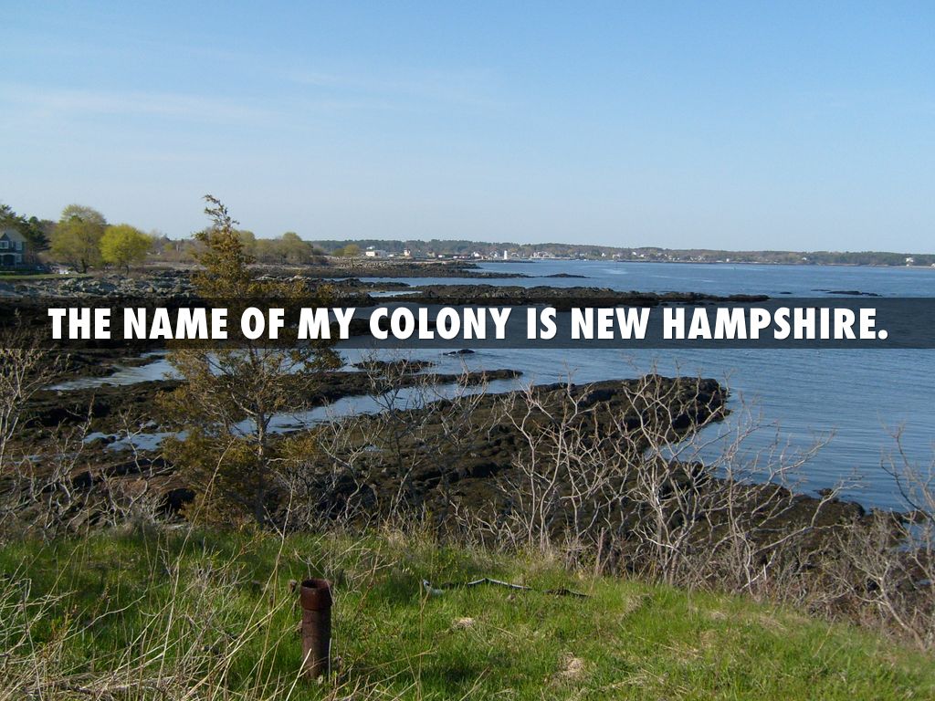 New Hampshire Colony Report