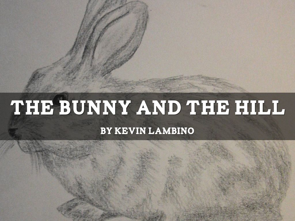 The Bunny and the Hill
