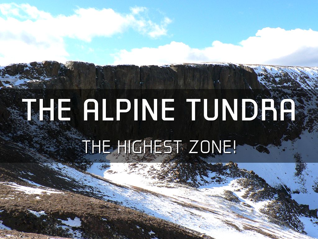 Alpine Tundra