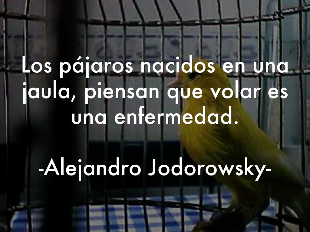 Los Pajaros Nacidos En Jaula Creen