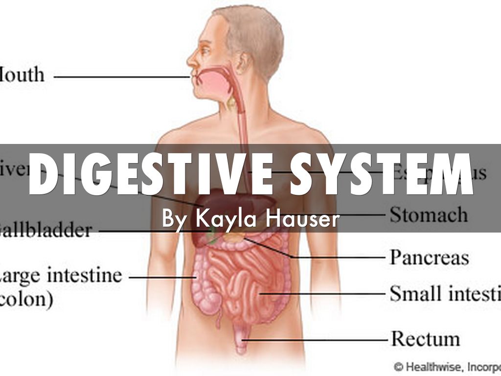 DIGESTIVE SYSTEM