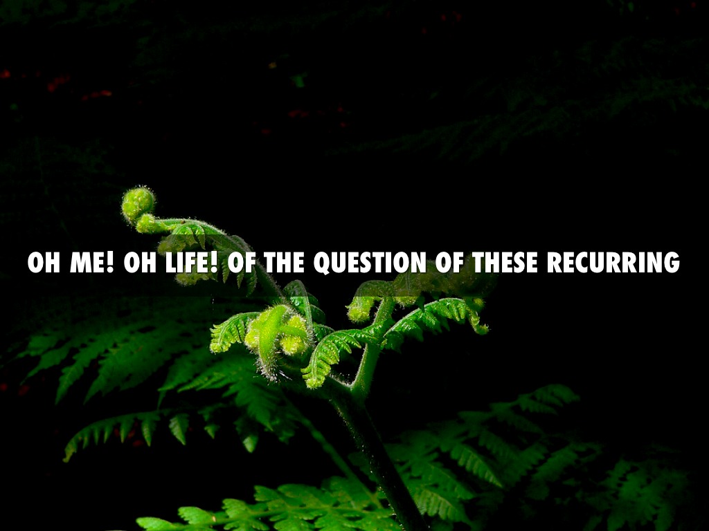 English Project By Colton Rich