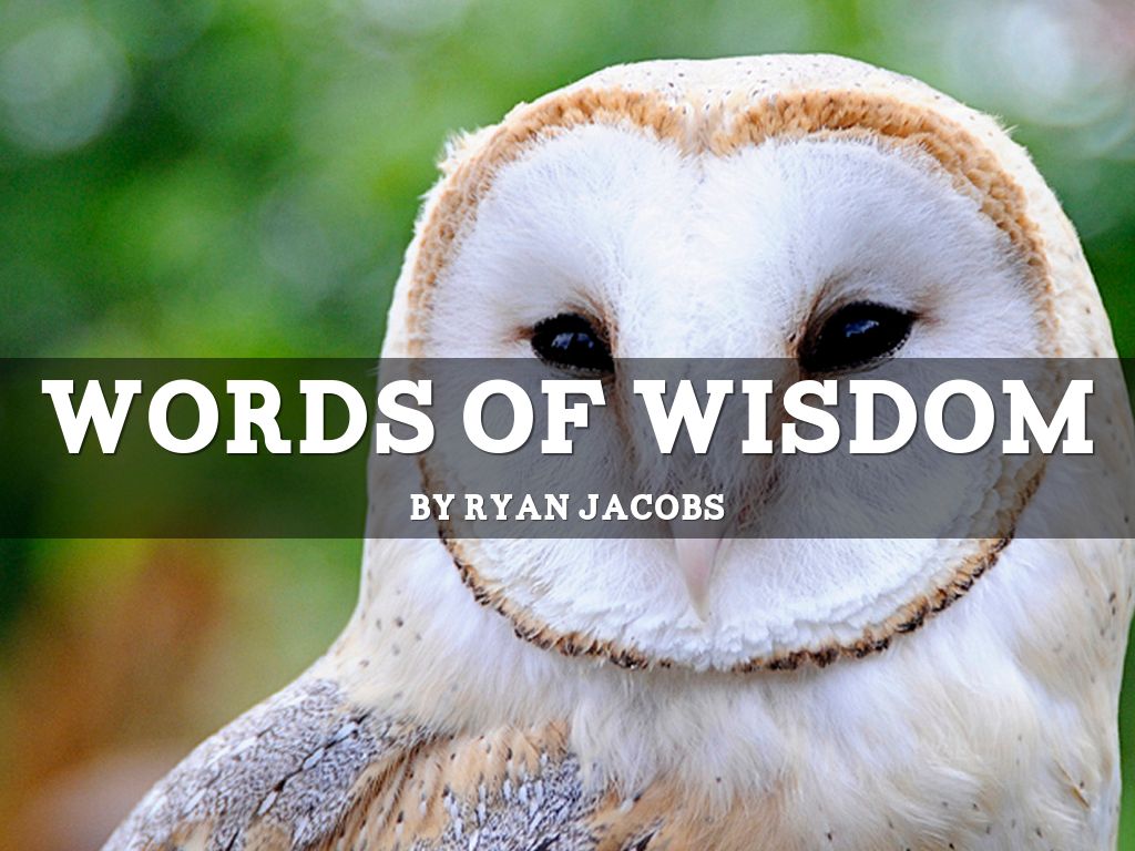 Words Of Wisdom
