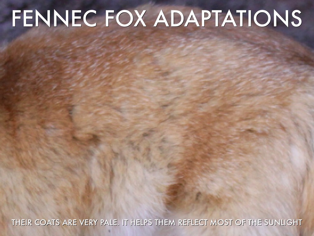 Mariapaula by Mr Seufert