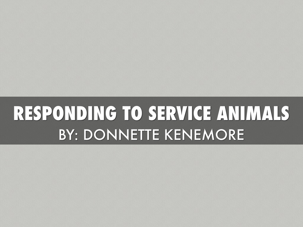 How Others Respond To Service Animals