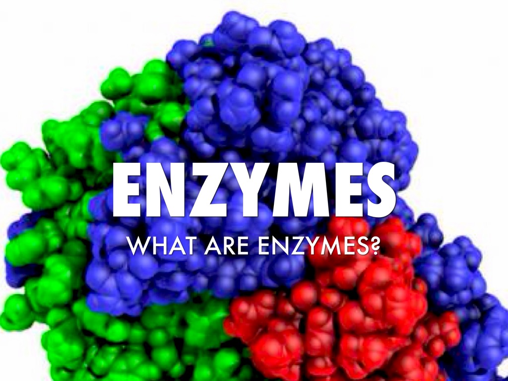 Enzymes