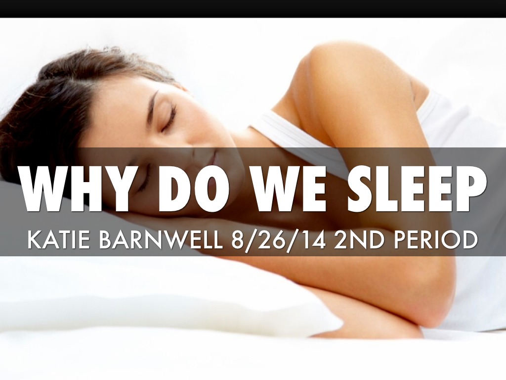 Why Do We Sleep by Katie Barnwell