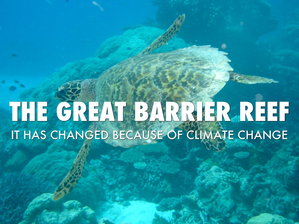 The Great Barrier Reef