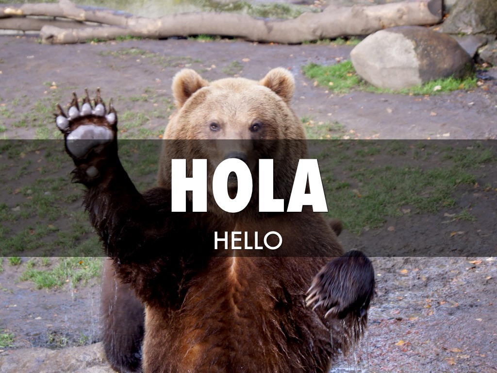 Saludos Y Despedidas