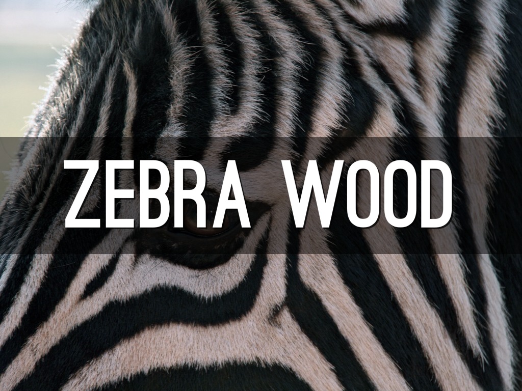 Zebra Wood by engineertechclass+1