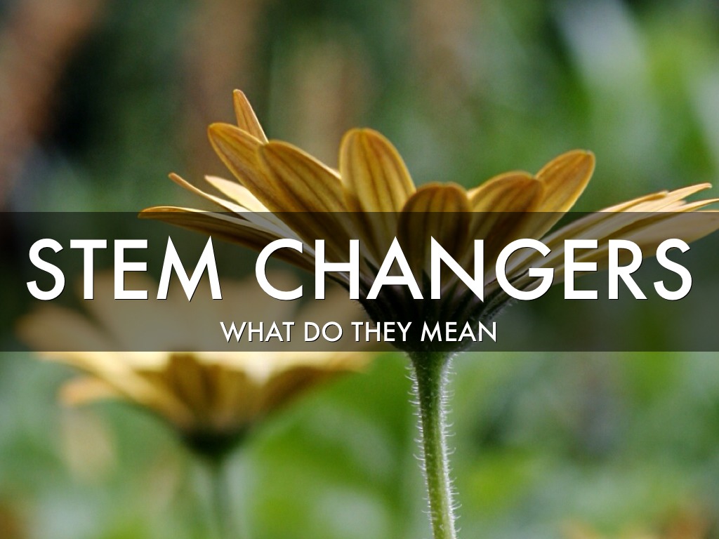 Stem Changing Verbs By Brandye R