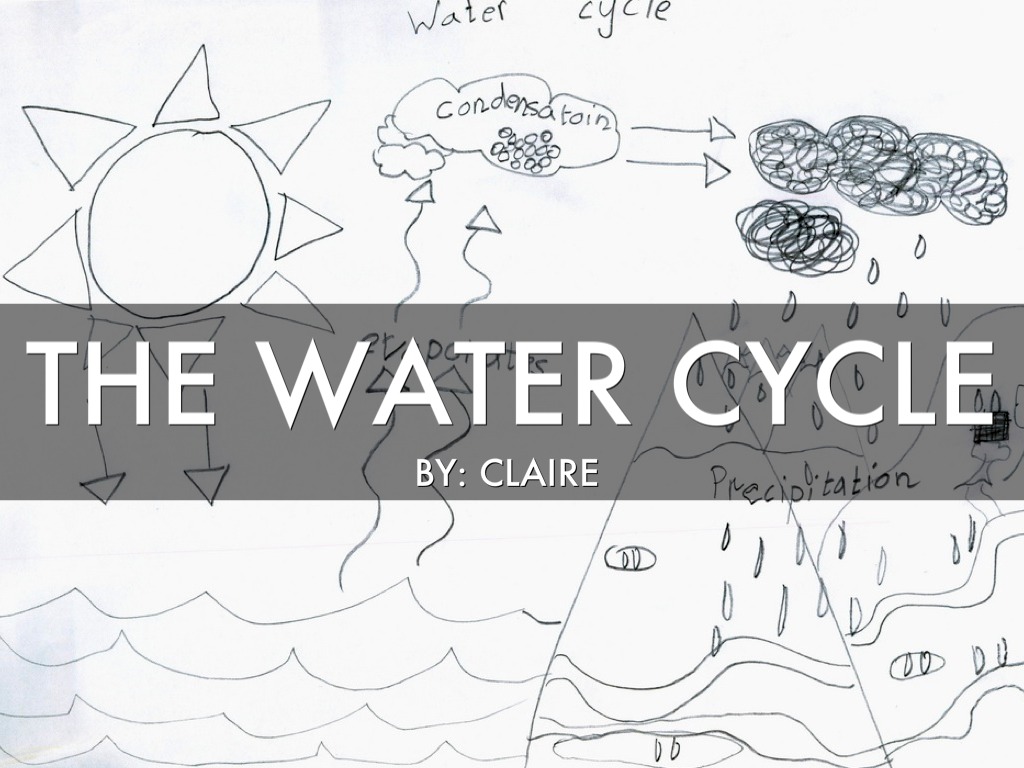 Copy of Water Cycle