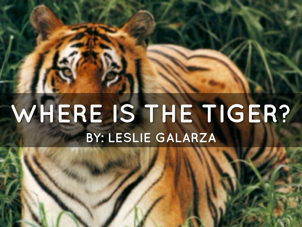 Where Is The Tiger