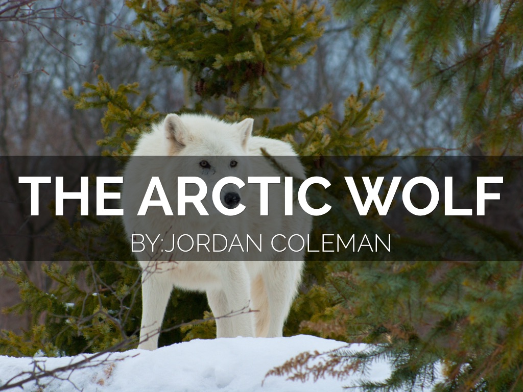 😈😈 Jordan Coleman 😈😈