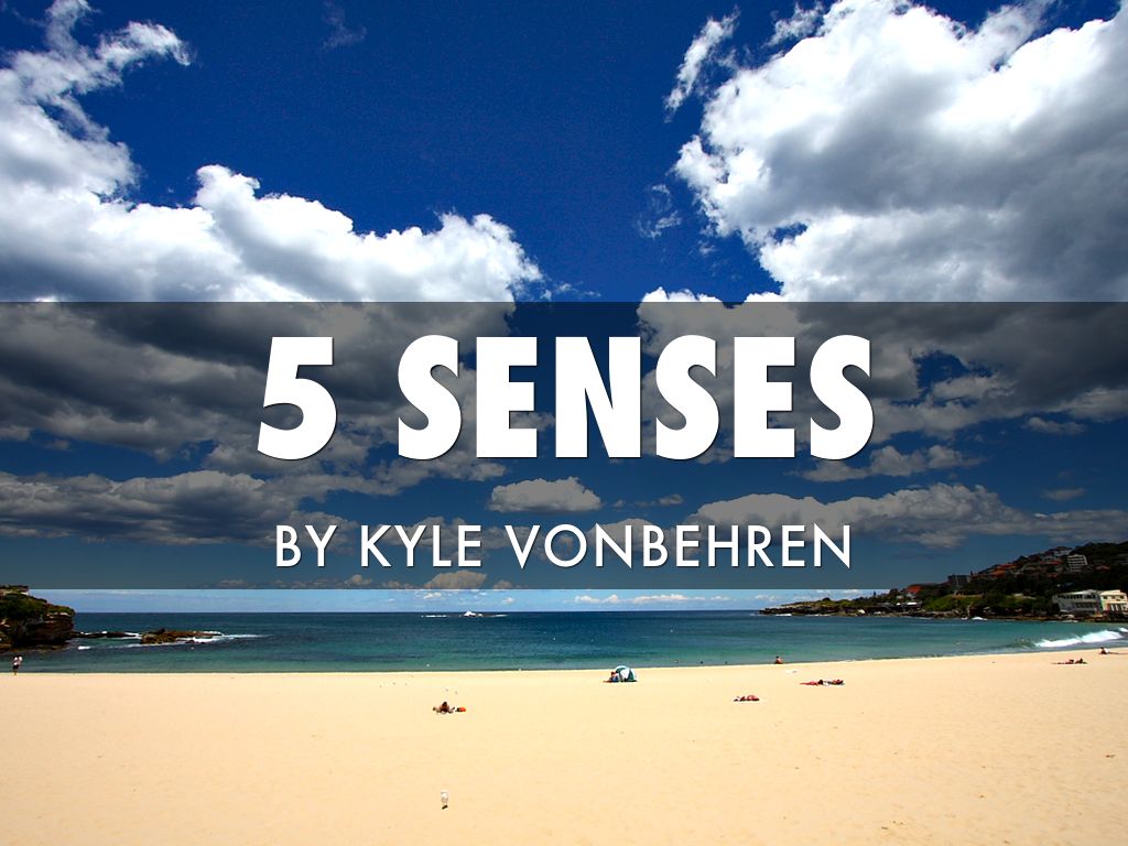 5 Senses