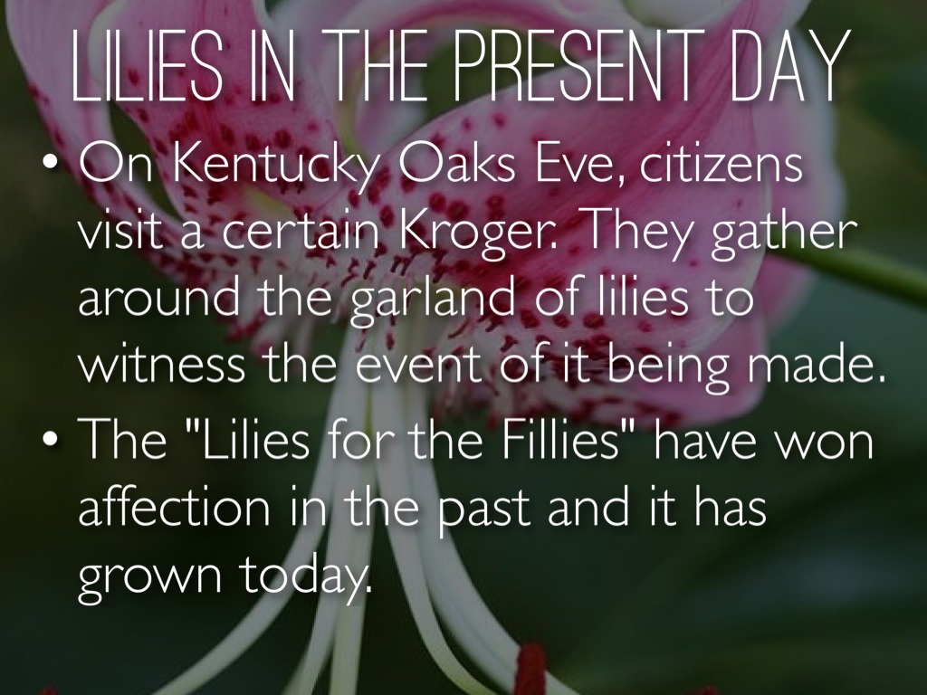 Lilies For The Fillies by Kelly Hynes
