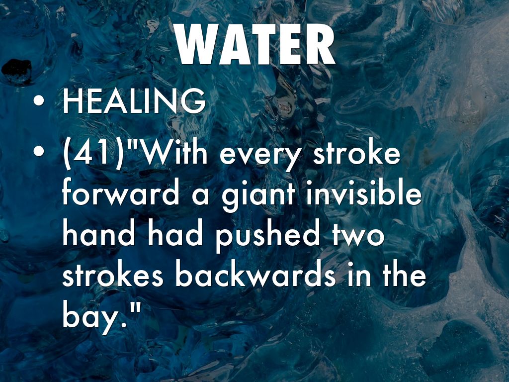 5+ Words Spirit Bear  