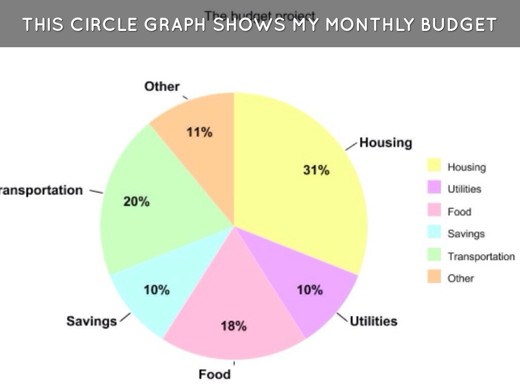 the budget project by