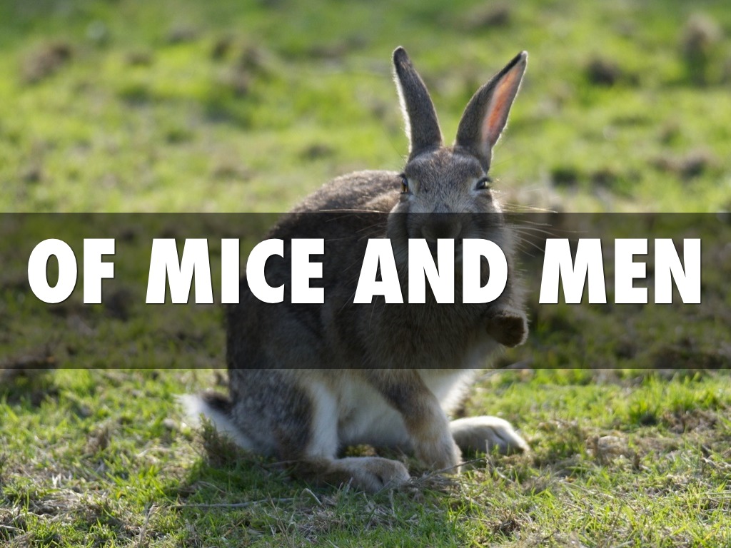 Of Mice And Men