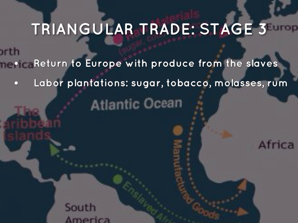 The Transatlantic Slave Trade by Simpson